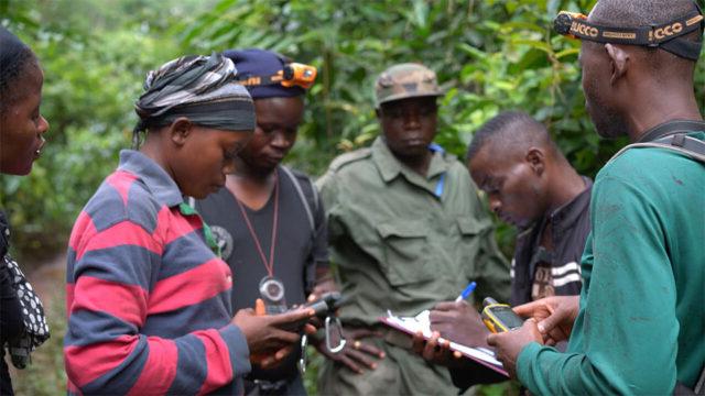 女性生态卫士在利比里亚的格雷博-克拉恩森林收集生物监测数据